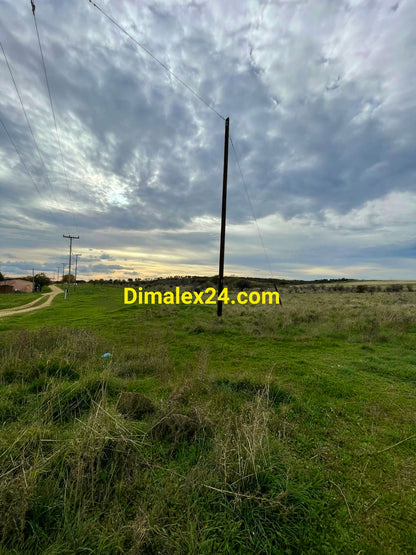 Обширен парцел с площ от 8200 кв.м. в Крионери,Северна Гърция, област Родопи.