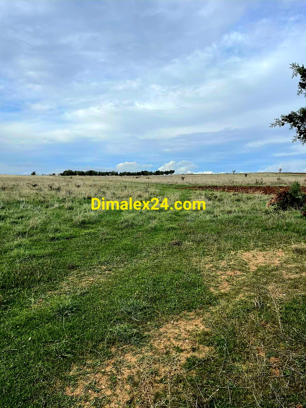 Равен и просторен парцел с пло от 8200 кв.м. в Крионери,Северна Гърция, област Родопи.