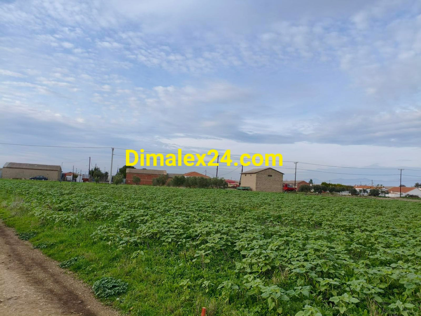 Парцел в Имерос,област Родопи,Гърция.