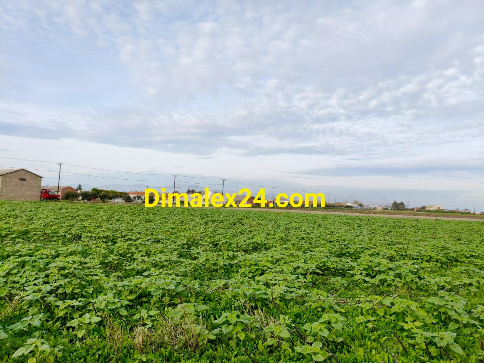 Парцел на 40 км. от границата с България,област Родопи,Имерос.