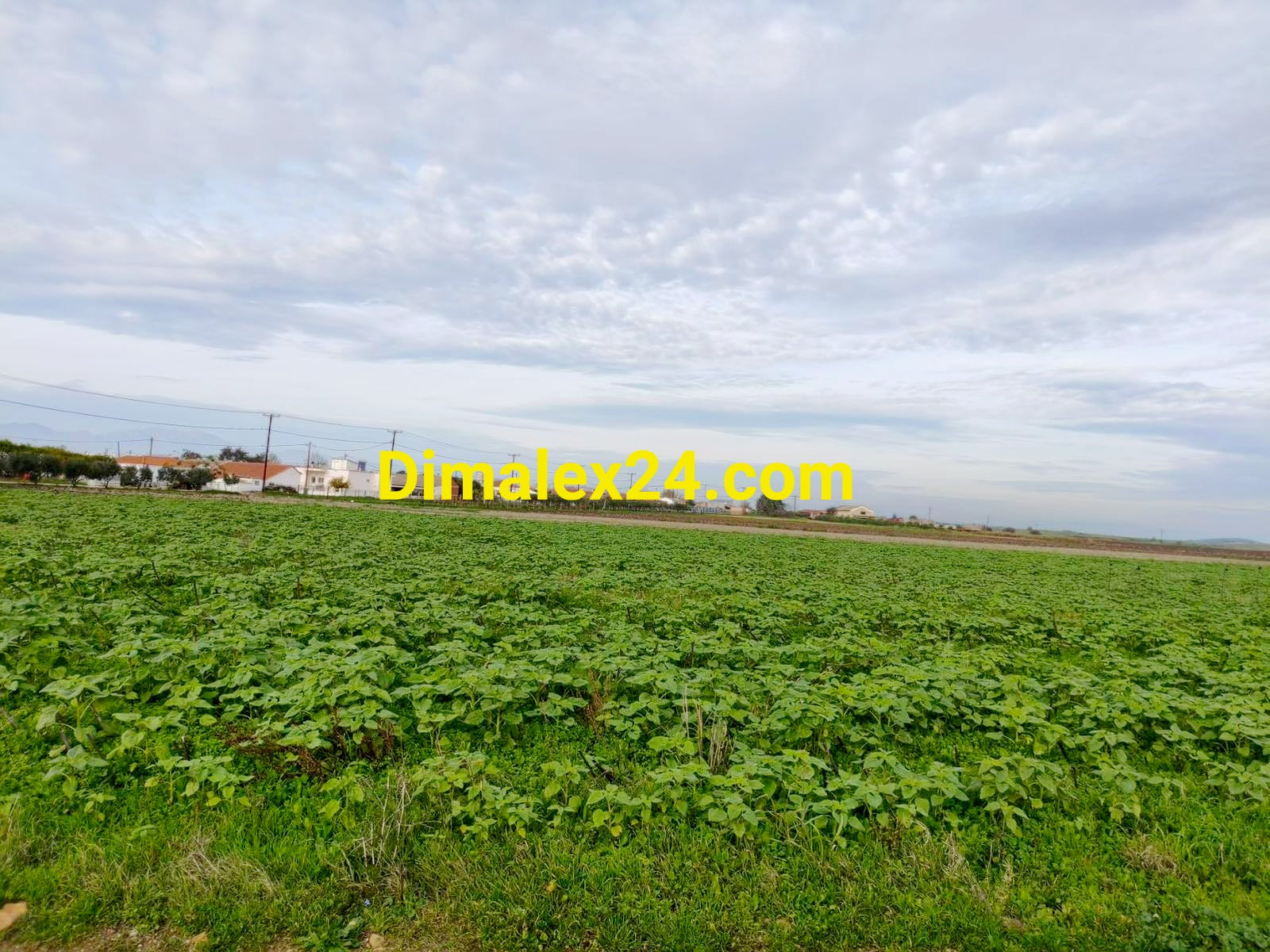 Парцел в регулация  и възможност за развитие на бизнес в Имерос,Северна Гърция.