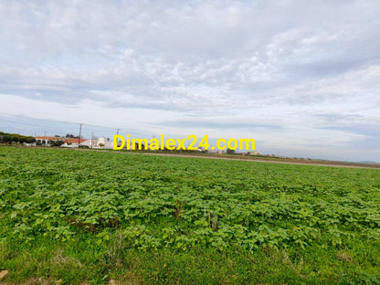 Парцел 1087 кв.м в Имерос, Северна Гърция – инвестиционен имот близо до морето.