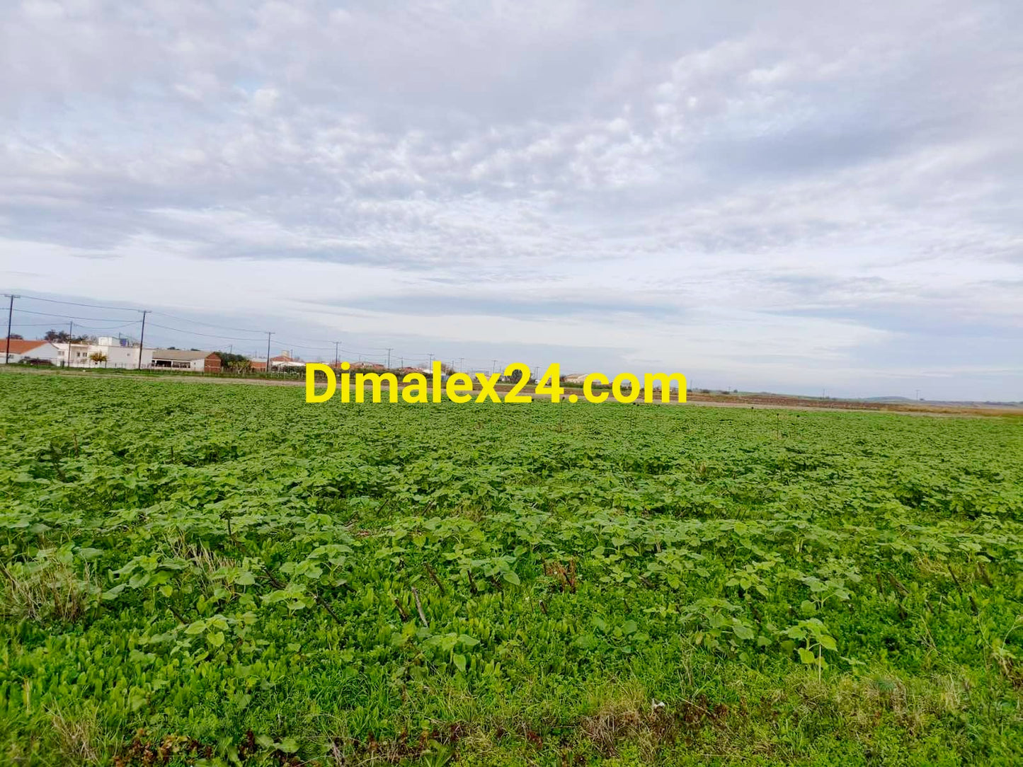 Парцел в Гърция на няколко стотин метра от плажовете на Имерос,Северна Гърция, област Родопи.