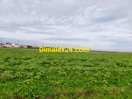 Парцел с разрешително за строеж и възможност за ток и вода веднага - Имерос,област Родопи,Северна Гърция.