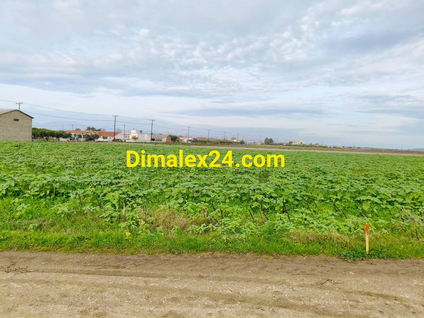 ALT: Парцел 1087 кв.м в Имерос, Северна Гърция – инвестиционен имот близо до морето.