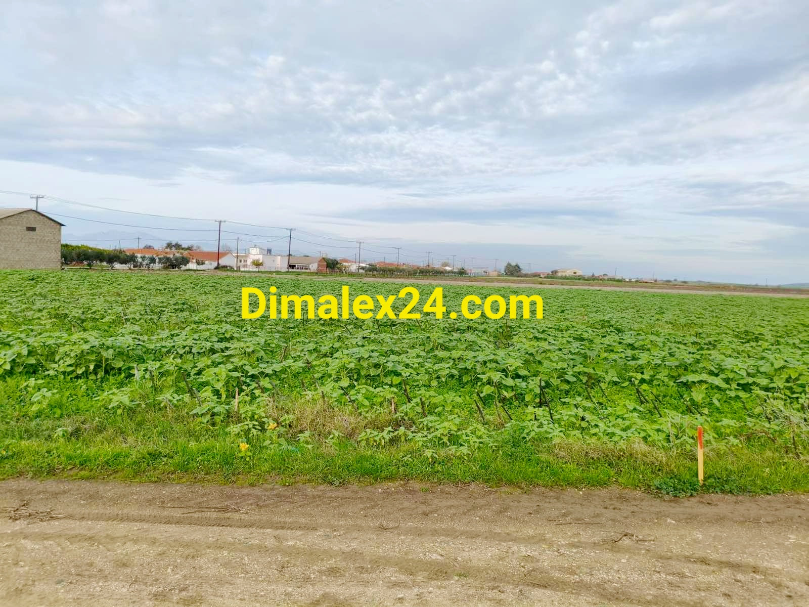 Парцел в Имерос,област Родопи,Северна Гърция - потенциален имот за развитие на бизнес.