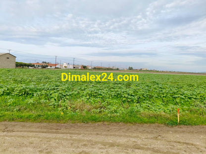 Парцел в Имерос,област Родопи,Северна Гърция - потенциален имот за развитие на бизнес.