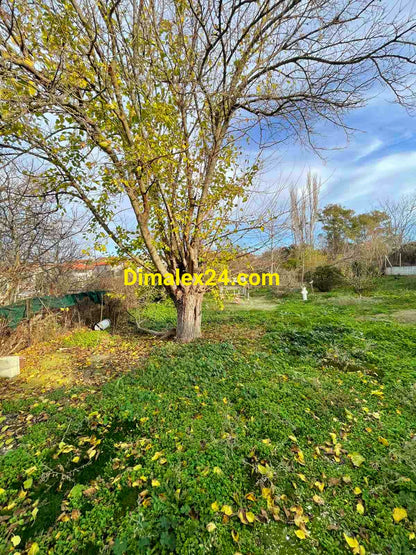 Просторен озеленен заден двор на имот в Кровили,Северна Гърция.