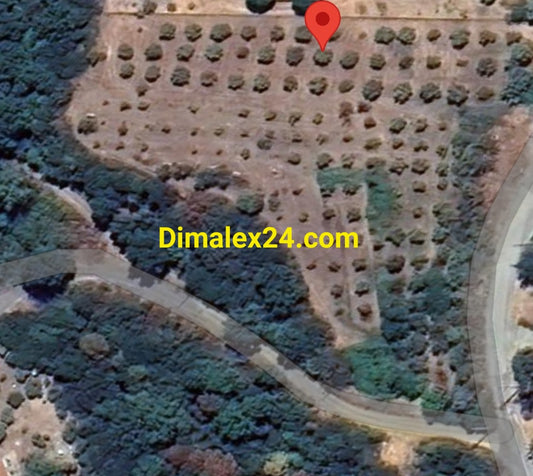 Парцел 2000 кв.м в Платанитис – 300 м от пясъчен плаж, област Родопи,Северна Гърция.