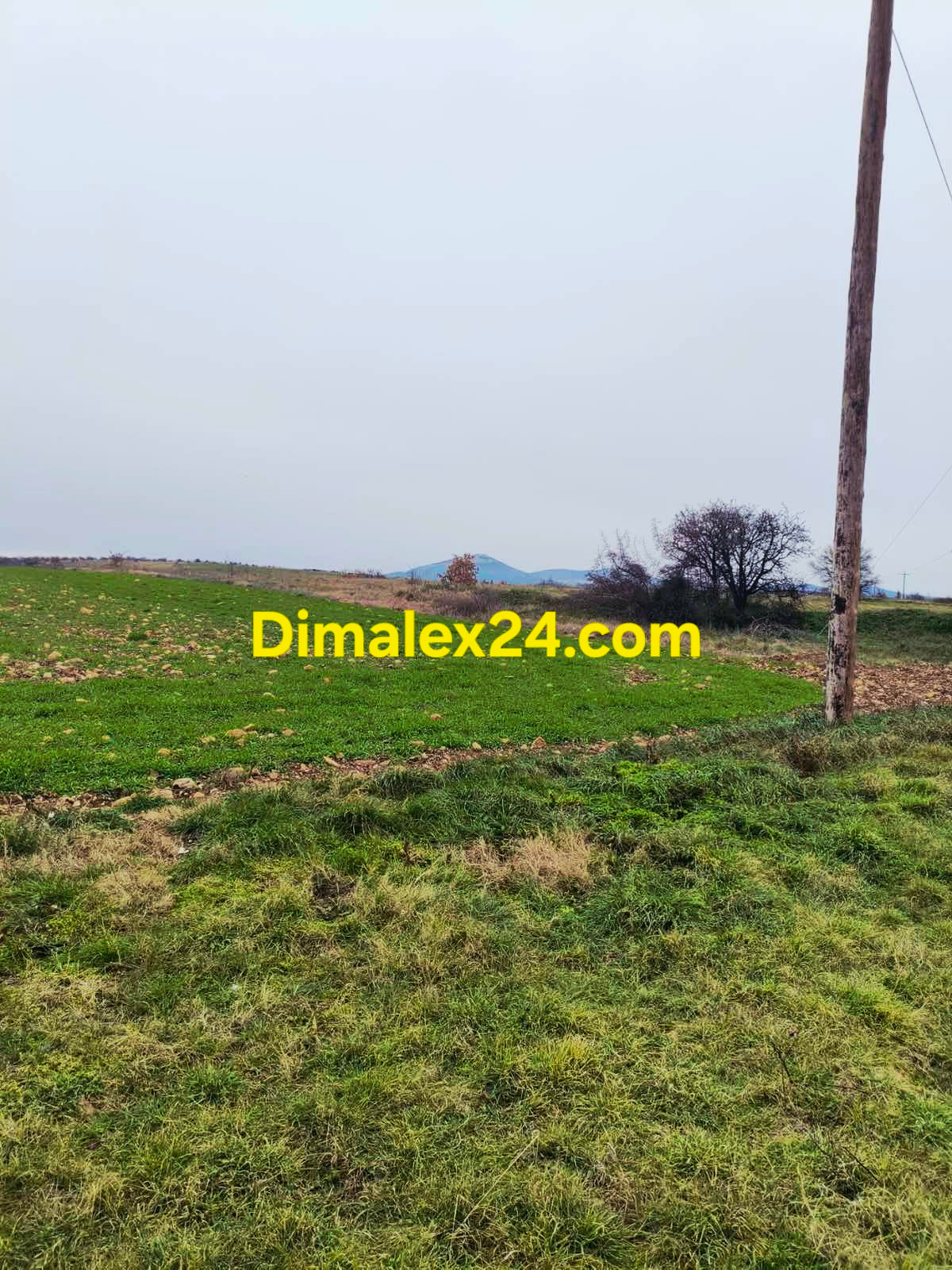 Земеделски парцел 11 800 кв.м между Имерос и Ксилагани в Северна Гърция.