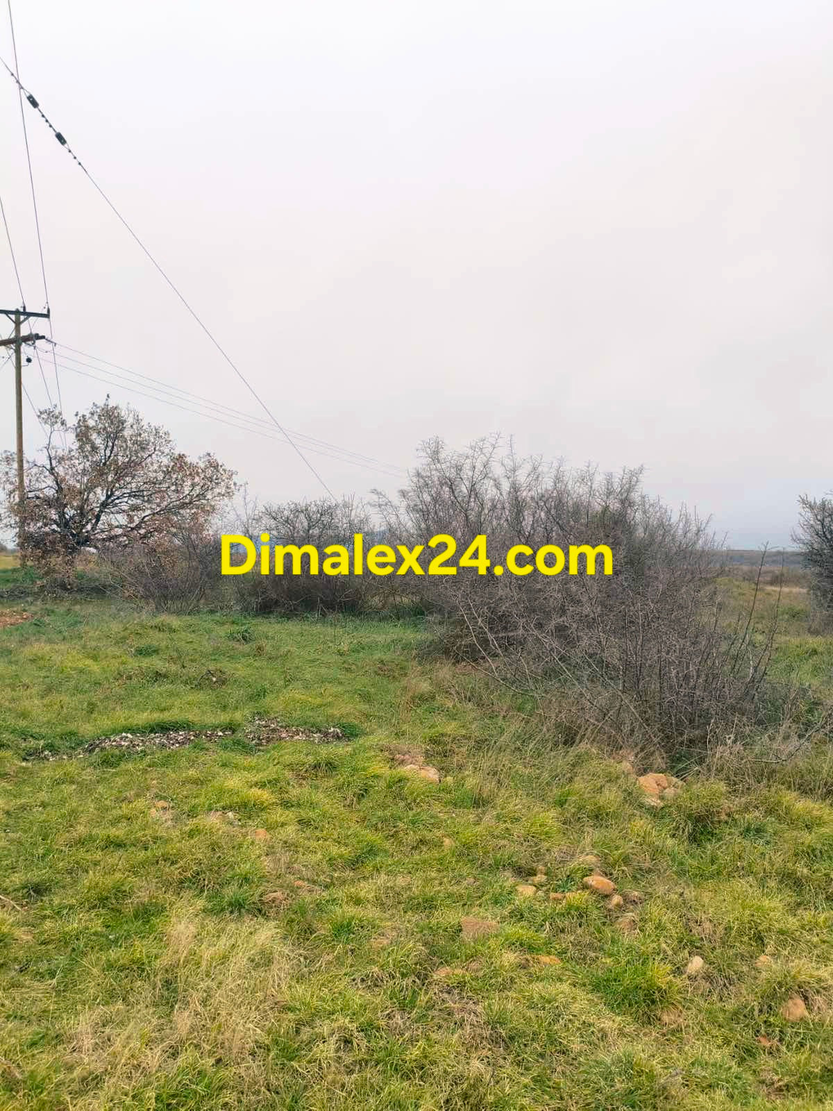 Земеделска земя близо до ГКПП Маказа област Родопи.