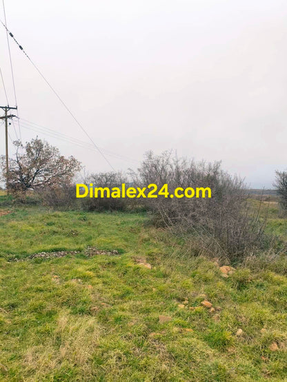 Земеделска земя близо до ГКПП Маказа област Родопи.