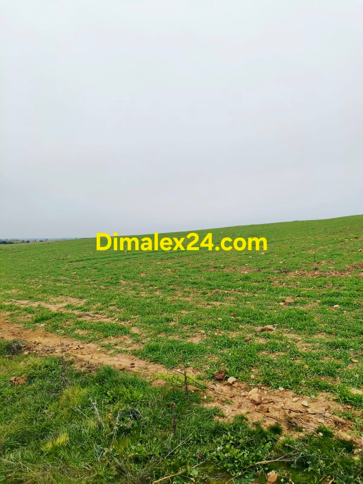 Голям равен земеделски парцел близо до морето област Родопи.