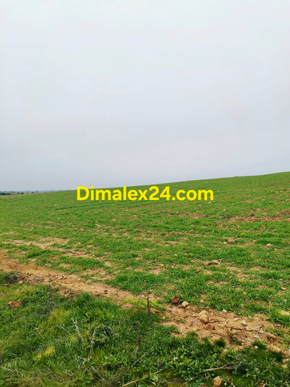 Голям равен земеделски парцел близо до морето област Родопи.