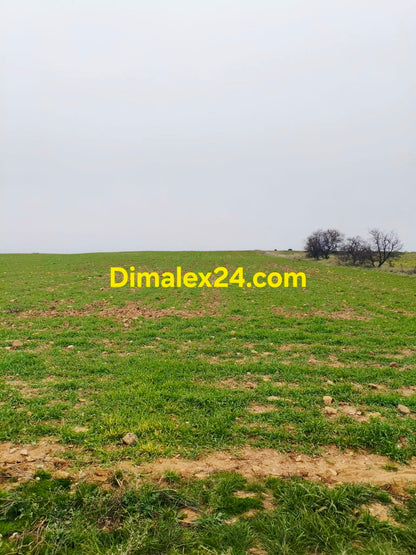 Просторен парцел в землището между Имерос и Ксилагани.