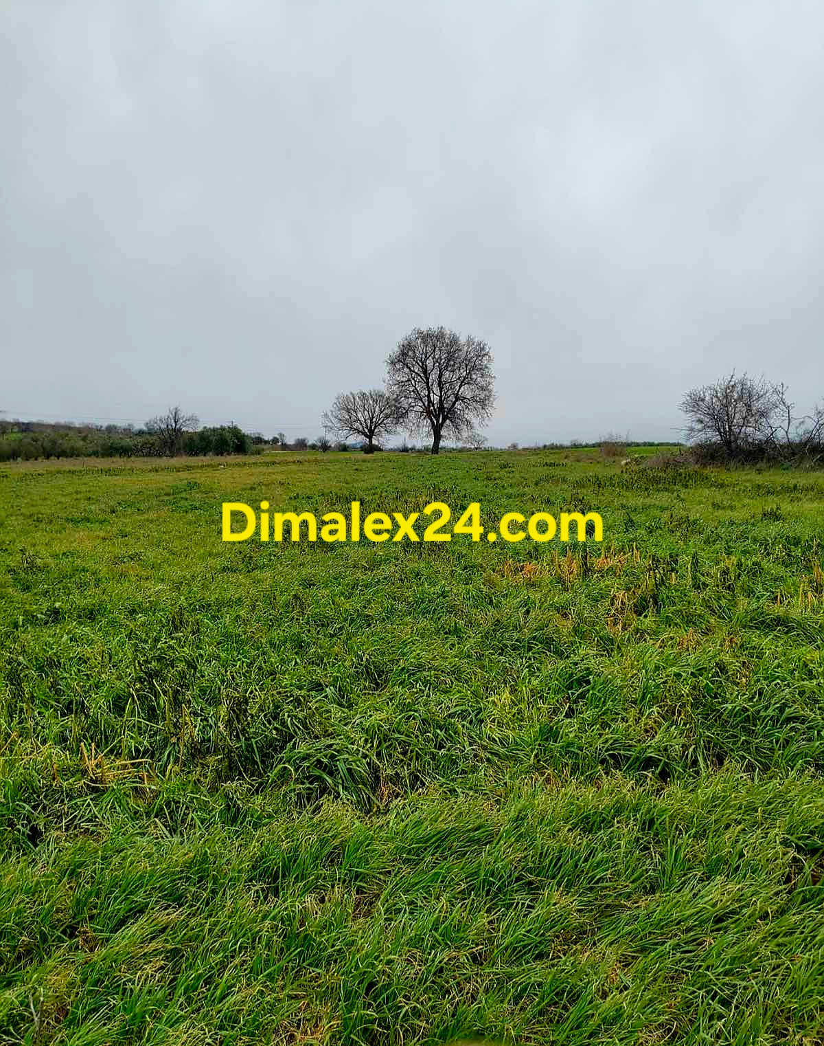 Равен парцел близо до морето в област Родопи.