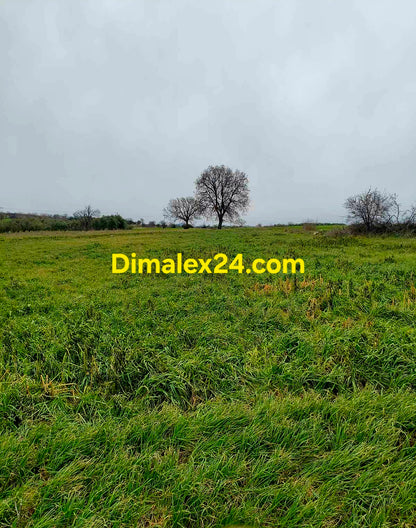 Равен парцел близо до морето в област Родопи.