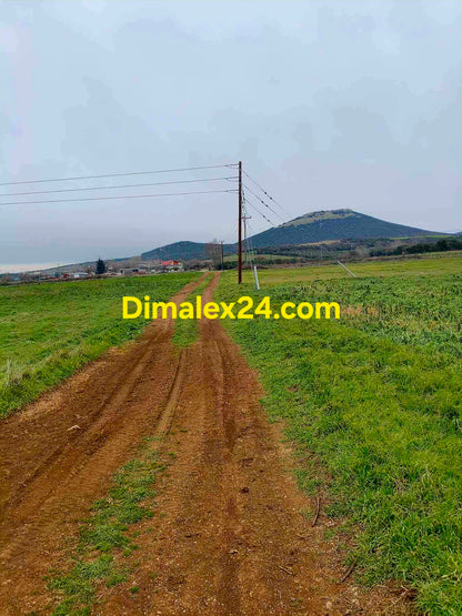 Просторен парцел в землището между селата Проскинитес и Ксилагани на 2 км. от морето с черен път до него.Северна Гърция, област Родопи.