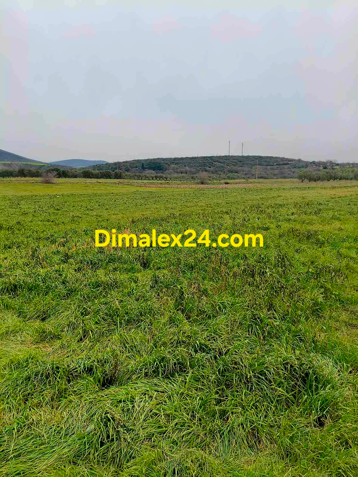 Парцел 2 257 кв.м между Ксилагани и Проскинитес Северна Гърция.