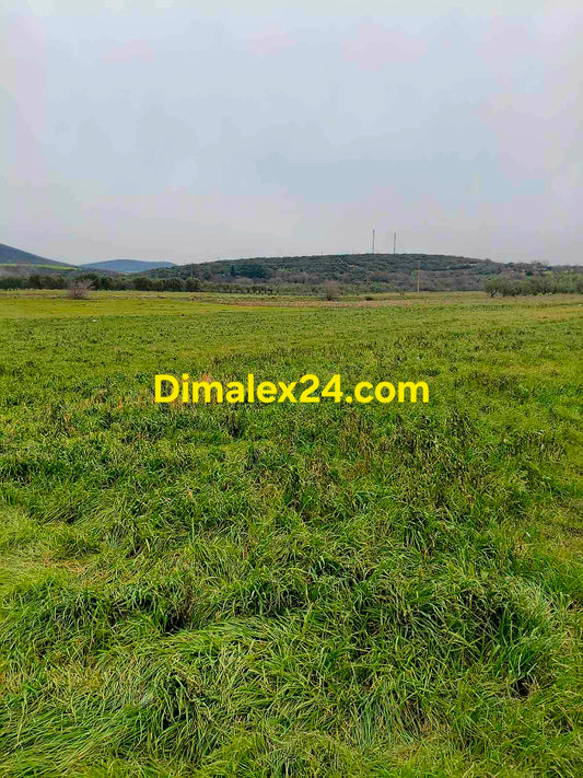 Парцел 2 257 кв.м между Ксилагани и Проскинитес Северна Гърция.