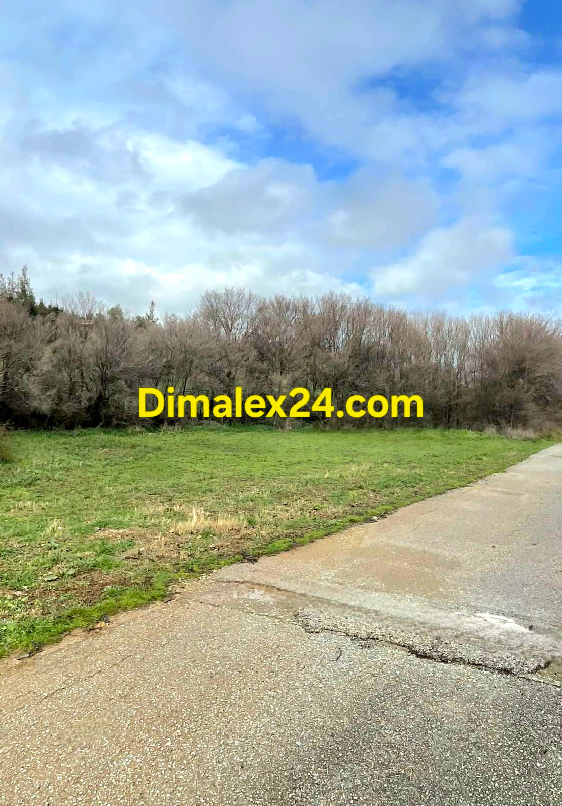 Равен парцел с възможност за застрояване в област Родопи.