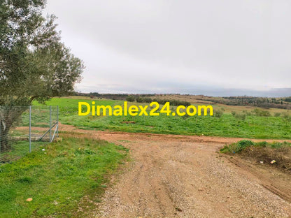 Парцел в Ксилагани, Северна Гърция, област Родопи на 6 км от плажовете на имерос с площ от 1000 в.м.