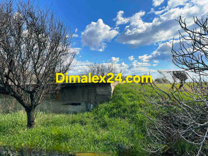 Парцел в Крионери, Северна Гърция, област Родопи на 45 км от ГКПП Мааза.