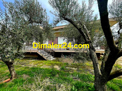 Къща с маслинови дървета двор Северна Гърция.