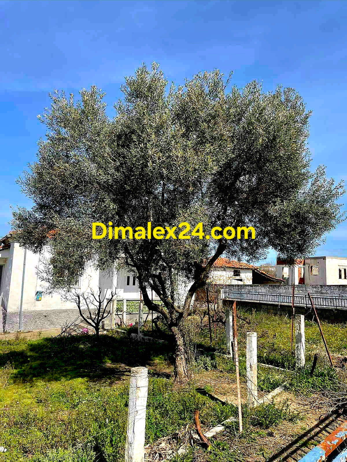 Имот на две улици Северна Гърция.