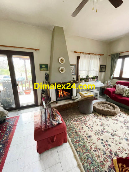 Хол с камина на семеен Хотел в Гърция.