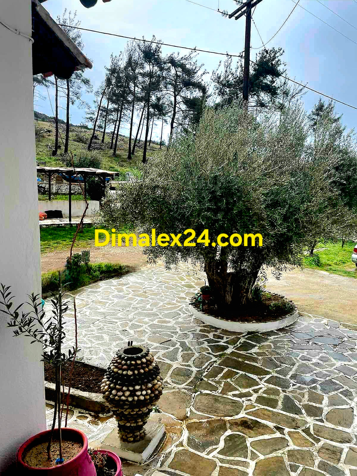 Подреден двор на имот в Марония, област Родопи.