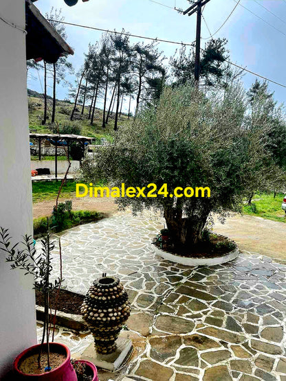 Подреден двор на имот в Марония, област Родопи.