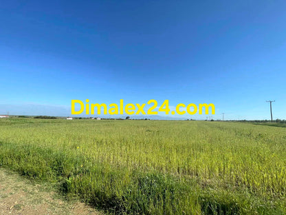 Парцел близо до плажовете на Имерос и Марония,Гърция.