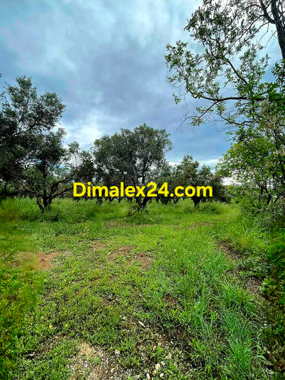 Парцел за хотелски комплекс близо до Александруполис област Еврос.