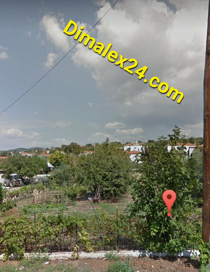 View of a lush parcel land in Prosqinites, Northern Greece with olive trees and vineyards.