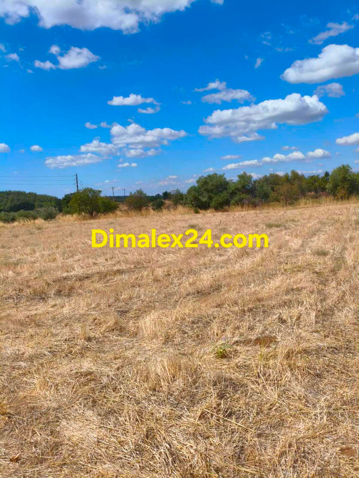 Парцел за 4 отделни имота в Ксилагани.