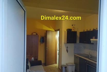 Interior view of a cozy apartment with kitchen and living area, featuring light walls and modern furniture.