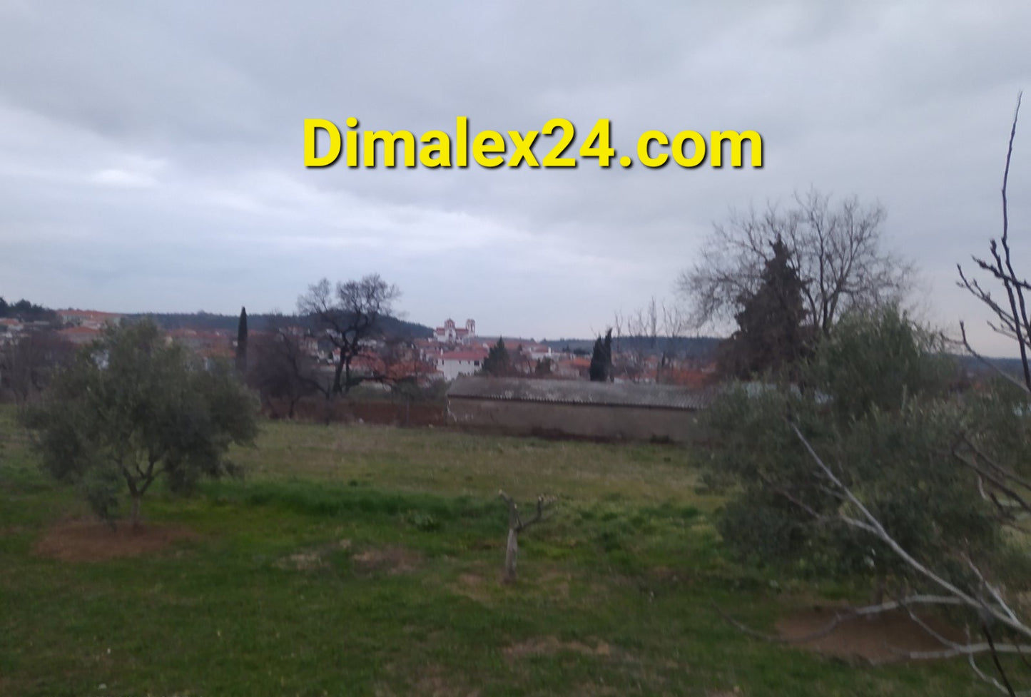 View of a grassy landscape with olive trees and a distant town under a cloudy sky, showcasing Northern Greece.