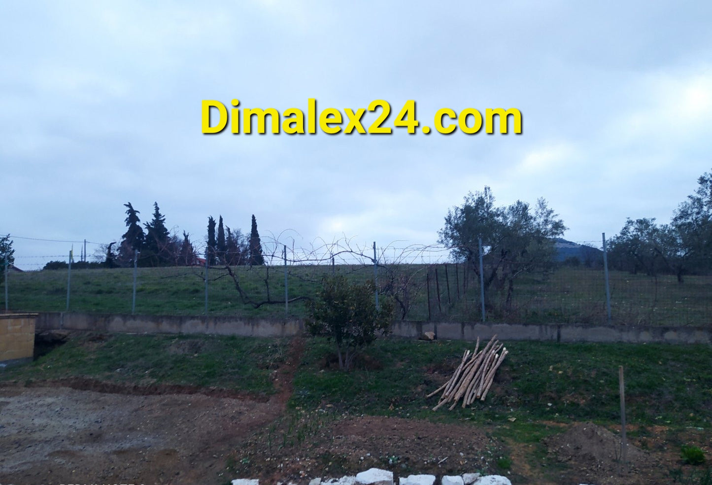 View of a fenced land with trees in the background, suitable for investment in Greek real estate.