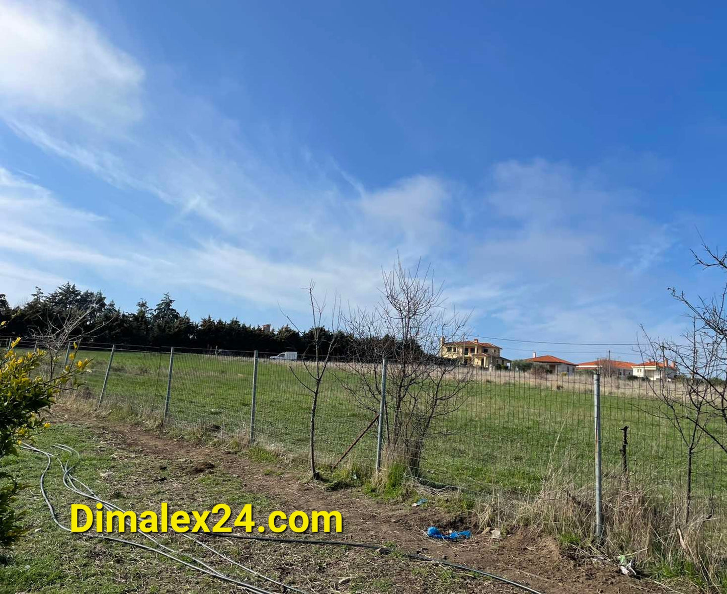 N.40 Plot in Fanari Greece, Rodopi region