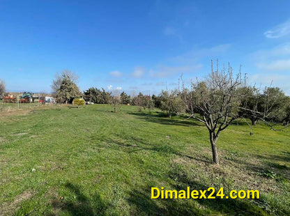 N.40 Plot in Fanari Greece, Rodopi region