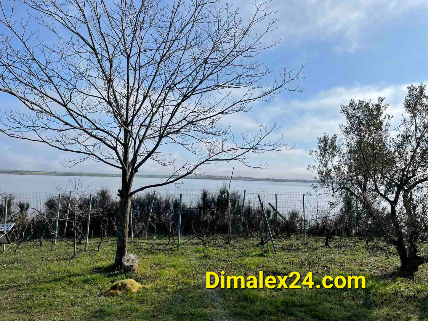 N.40 Plot in Fanari Greece, Rodopi region