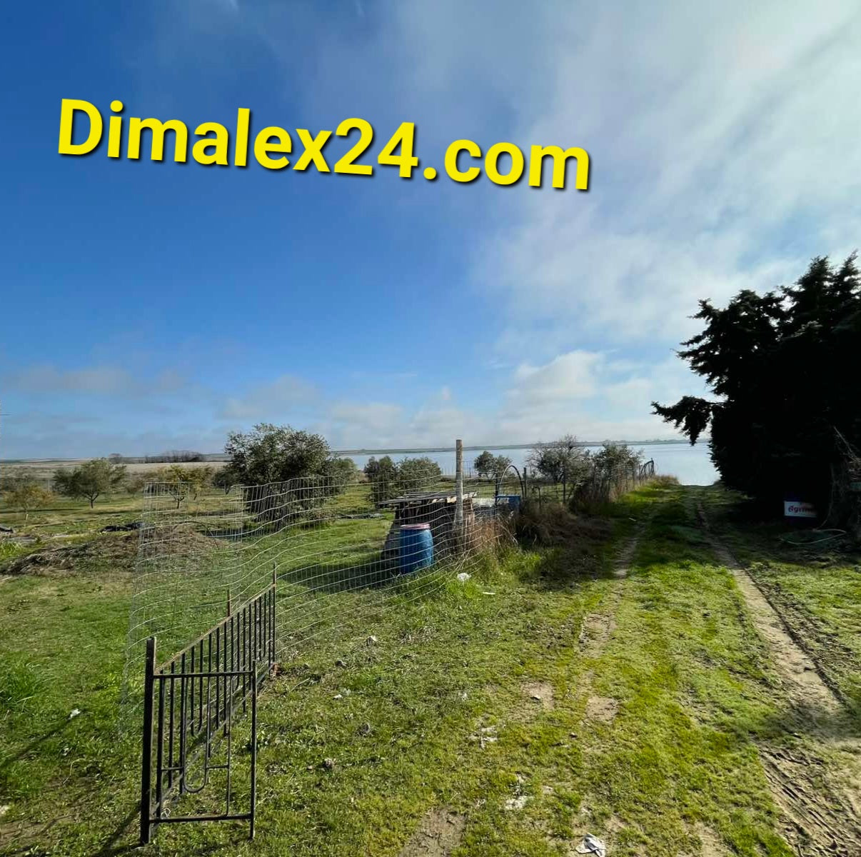 N.40 Plot in Fanari Greece, Rodopi region