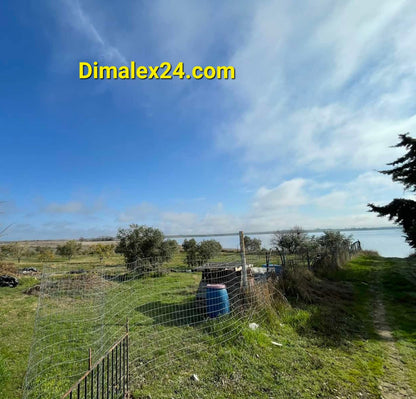 N.40 Plot in Fanari Greece, Rodopi region