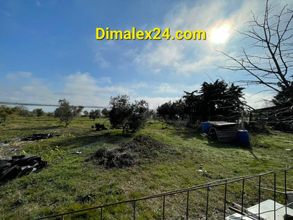 N.40 Plot in Fanari Greece, Rodopi region