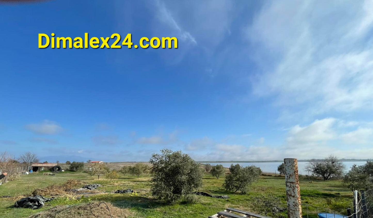 N.40 Plot in Fanari Greece, Rodopi region