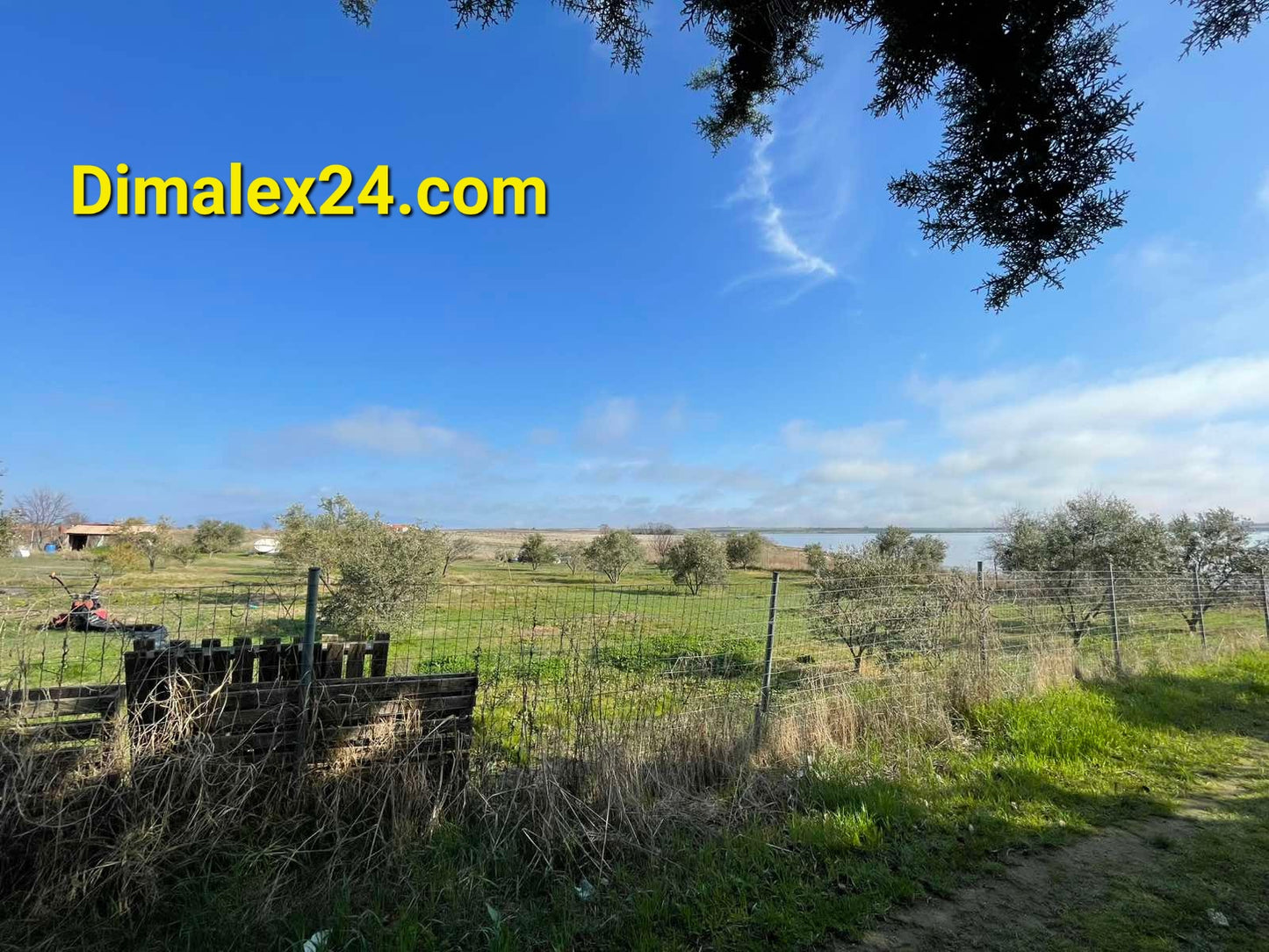 N.40 Plot in Fanari Greece, Rodopi region