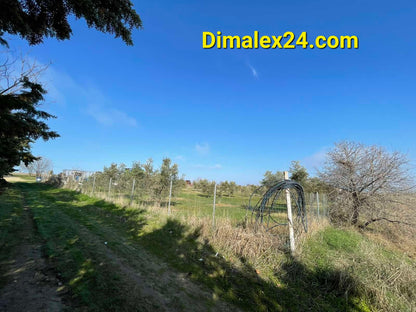 N.40 Plot in Fanari Greece, Rodopi region