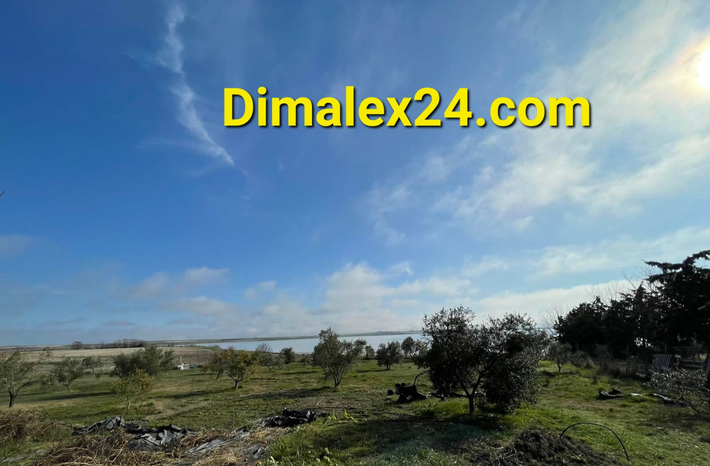 N.40 Plot in Fanari Greece, Rodopi region