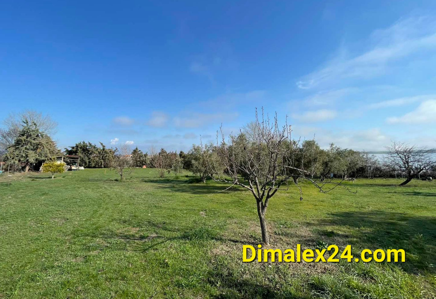 N.40 Plot in Fanari Greece, Rodopi region